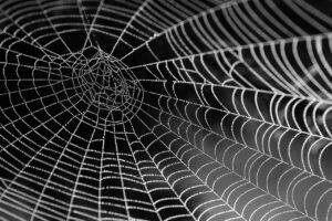 mk web design
