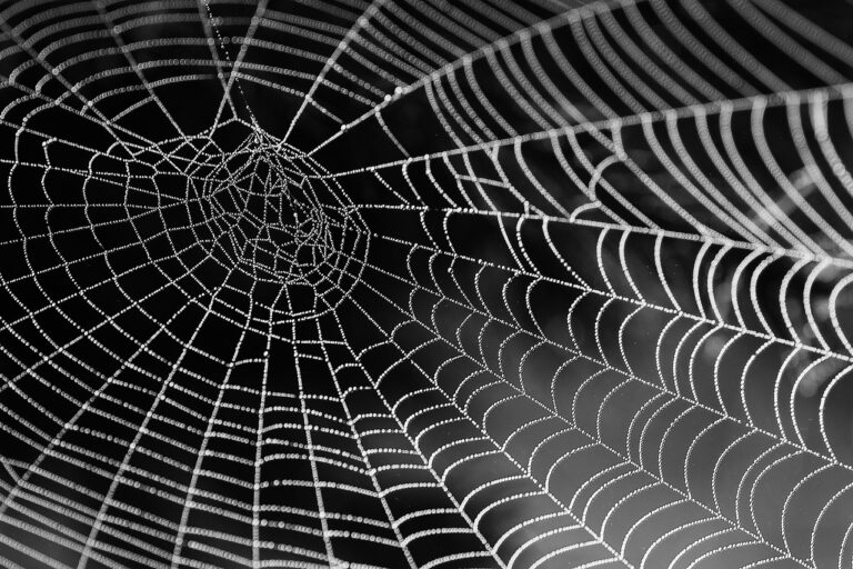 mk web design