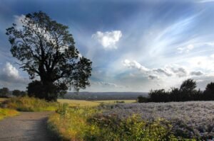 Scenic countryside with vibrant clouds.