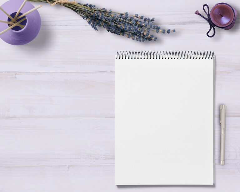 blogger outreach programme