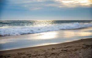 ppc marketing agency newport