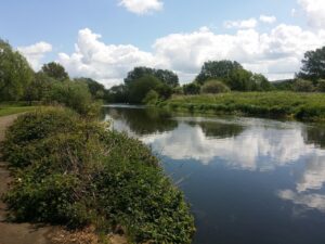 seo agency wellingborough